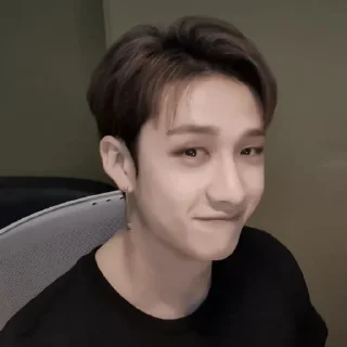 Sticker from 🫐Bangchan:: @moonlightflowers