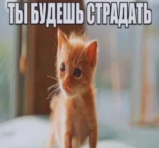 😡 emoji владос стикерс бу @sw4sx Telegram sticker 17 of 89