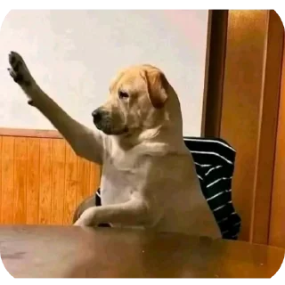 🐶 emoji тиктокк Telegram sticker 9 of 115