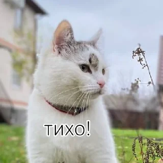 🤫 emoji А ну-ка давай-ка Telegram sticker 16 of 21