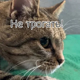 😠 emoji А ну-ка давай-ка Telegram sticker 13 of 21