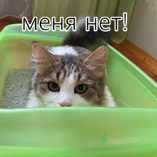 🥸 emoji А ну-ка давай-ка Telegram sticker 8 of 21