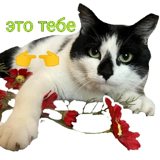 🥰 emoji А ну ка давай-ка! Telegram sticker 5 of 32