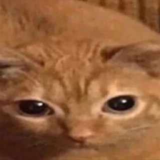 😳 emoji рандомщина Telegram sticker 4 of 116