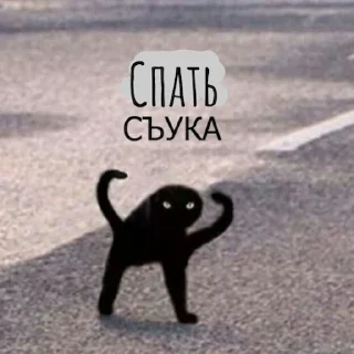 🙀 emoji ъуъ Telegram sticker 6 of 17