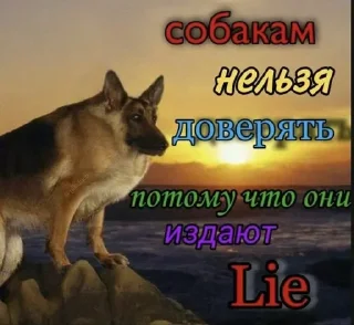 🐺 emoji Для Крабса от Майка Telegram sticker 24 of 34