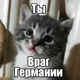 👎 emoji Für unsern Kaiser Telegram sticker 13 of 26