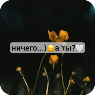 🤭 emoji 🌸~личный стикерпак~🌸 Telegram sticker 10 of 13