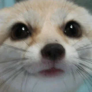 ☺️ emoji феньковый стикерпак ✨ Telegram sticker 8 of 31