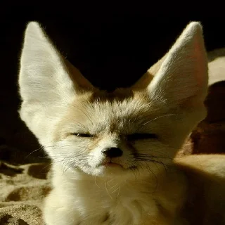 😑 emoji феньковый стикерпак ✨ Telegram sticker 10 of 31