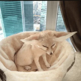 🤧 emoji феньковый стикерпак ✨ Telegram sticker 19 of 31