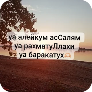 👋 emoji 🌸~личный стикерпак~🌸 Telegram sticker 2 of 13