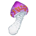 🍄 emoji hare@moloko_stk Telegram sticker 8 of 8