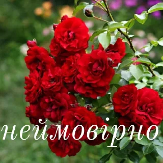 😍 emoji щиро кохаю!) Telegram sticker 20 of 43