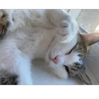 Sticker from mc tisha