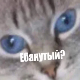🤔 emoji Сборище стиков Катьки Telegram sticker 22 of 37