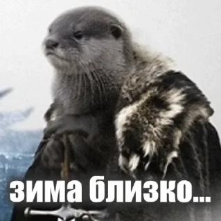😆 emoji @TVstickers Otter Telegram sticker 10 of 110