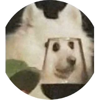 Sticker from выдра