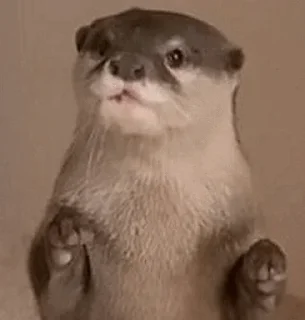 😁 emoji @TVstickers Otter Telegram sticker 9 of 110