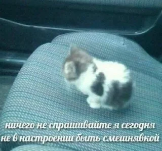 Sticker from название