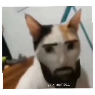 🧔 emoji о тупа я Telegram sticker 6 of 60