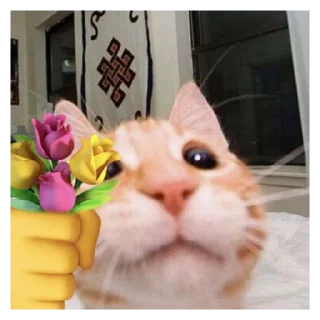 💐 emoji о тупа я Telegram sticker 9 of 60