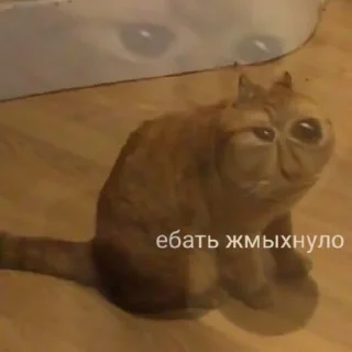 🤪 emoji Опять на работу Telegram sticker 3 of 77