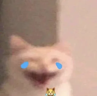 😹 emoji СМЕШНЫЕ КОТЫ 😃 Telegram sticker 16 of 60