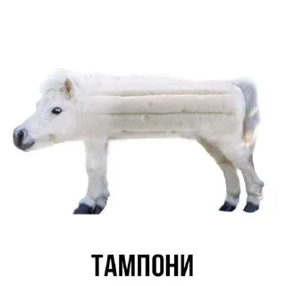 🙈 emoji хуйня.. Telegram sticker 9 of 45