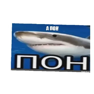 Sticker from Негры топ понял