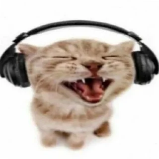 😫 emoji наргизе от ясмины Telegram sticker 5 of 49