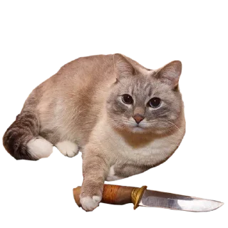 😢 emoji @TVstickers Crazy Telegram sticker 9 of 64