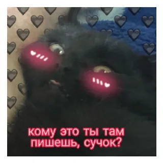 😥 emoji Никита лапуля<3 Telegram sticker 13 of 39