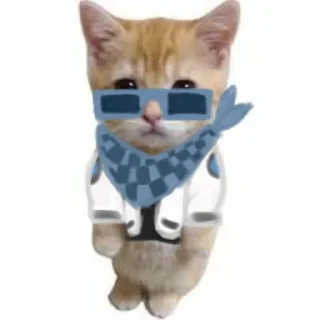 🐱 emoji Котята флуда «HEART BEAT» Telegram sticker 8 of 13
