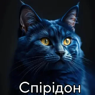 🌟 emoji Пiпiдастр Telegram sticker 15 of 74