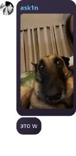 Sticker from 🤫CHABB TALKING🧏 pack by @QuotLyBot