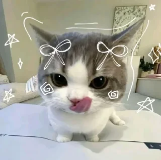 Sticker from Cute Kitties
