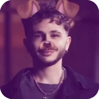 🤡 emoji любимки ww Telegram sticker 17 of 32