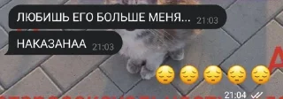🌟 emoji У цифры мини пенис @wirmixtyt Telegram sticker 12 of 72