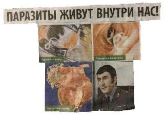 🍤 emoji За головки 2 Telegram sticker 20 of 120