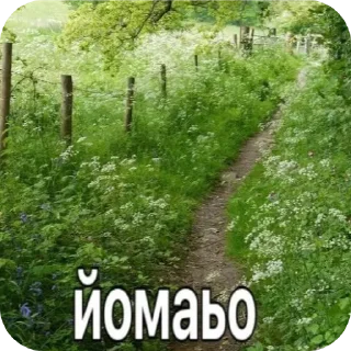 Sticker from Йомайо