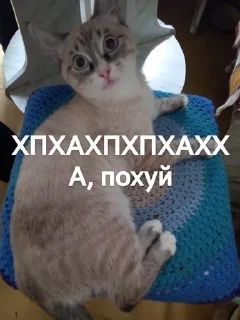 😁 emoji Яша и его фразы Telegram sticker 6 of 15