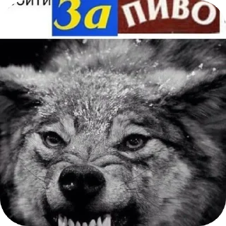 👍 emoji СЕКТА ВОЛЧИЦЫ🤟🤟🤟😝😝#ауф2017топт Telegram sticker 5 of 21
