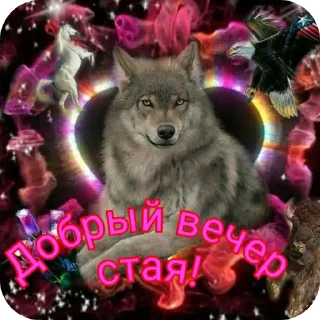 👍 emoji СЕКТА ВОЛЧИЦЫ🤟🤟🤟😝😝#ауф2017топт Telegram sticker 10 of 21