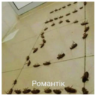 😄 emoji А шо тут? А нішо Telegram sticker 6 of 40