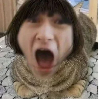 💗 emoji Я дед инсайд Telegram sticker 1 of 23