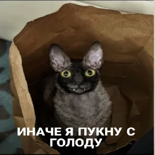 😈 emoji Я люблю Пикселя (тгк @chainayaluza) Telegram sticker 18 of 27