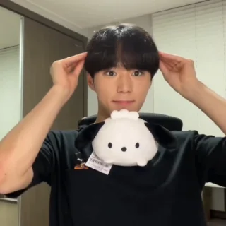 🦊 emoji junseo @weiruistan Telegram sticker 17 of 47