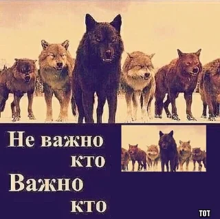 Sticker from Ауф