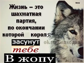 Sticker from Ауф
